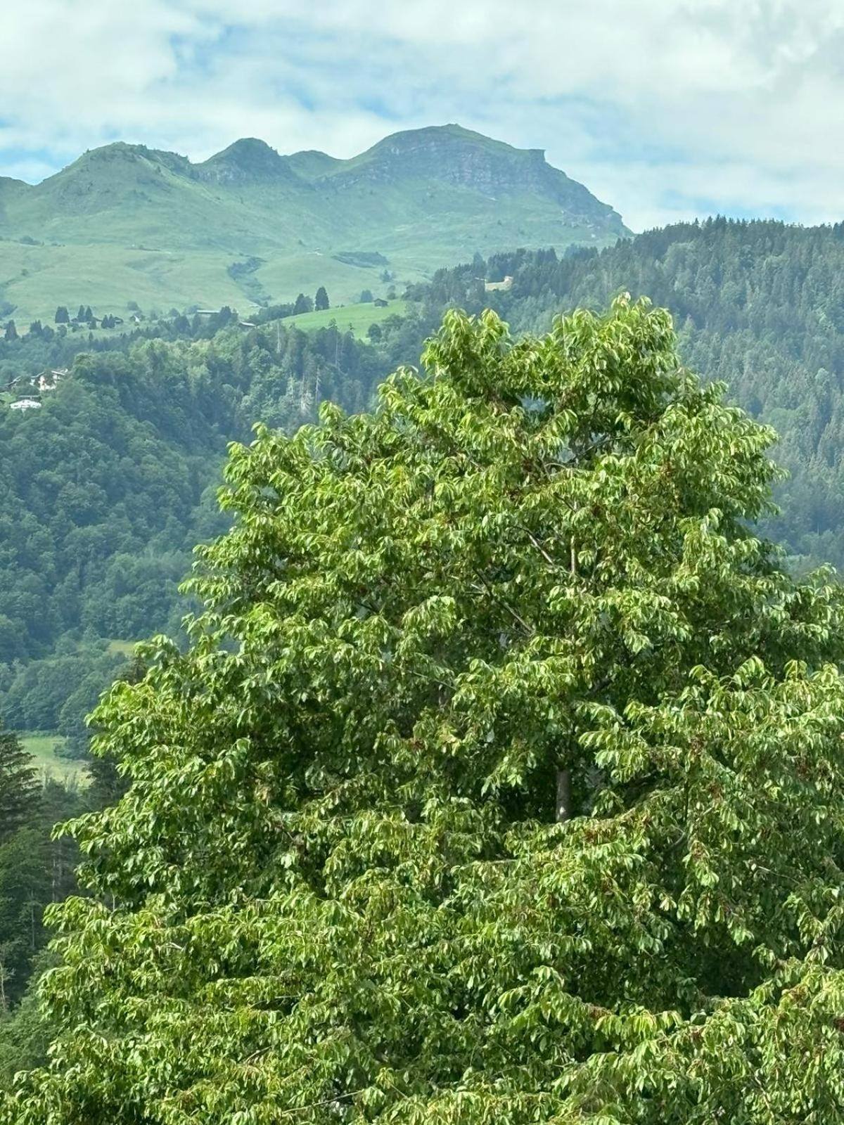 Landgasthof Zum Glenner Ilanz/Glion Bagian luar foto